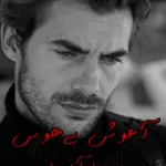 دانلود رمان آغوش بی‌ هوس pdf میترا آذربانی