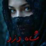 رمان شاه دزد