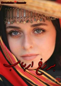 رمان برزخ ارباب