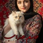 رمان خانم جذاب