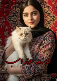 رمان خانم جذاب رمان خانم جذاب