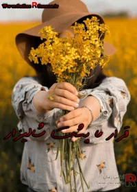 رمان قرار ما پشت شالیزار